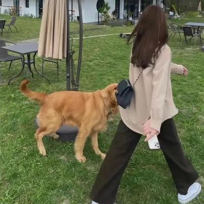 狂野标靶
